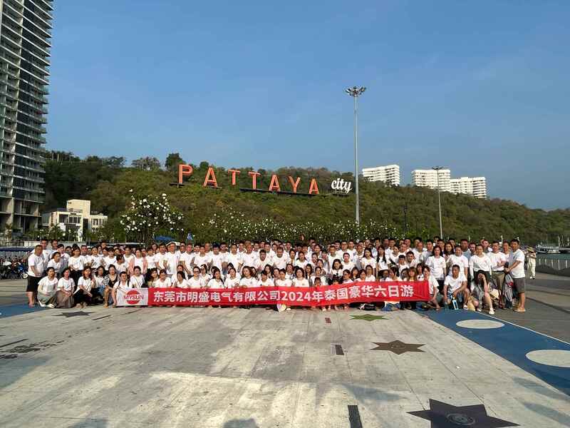 चीन Shenzhen Mysun Insulation Materials Co., Ltd. कंपनी प्रोफाइल